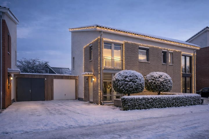 Havikskruid 53 main image