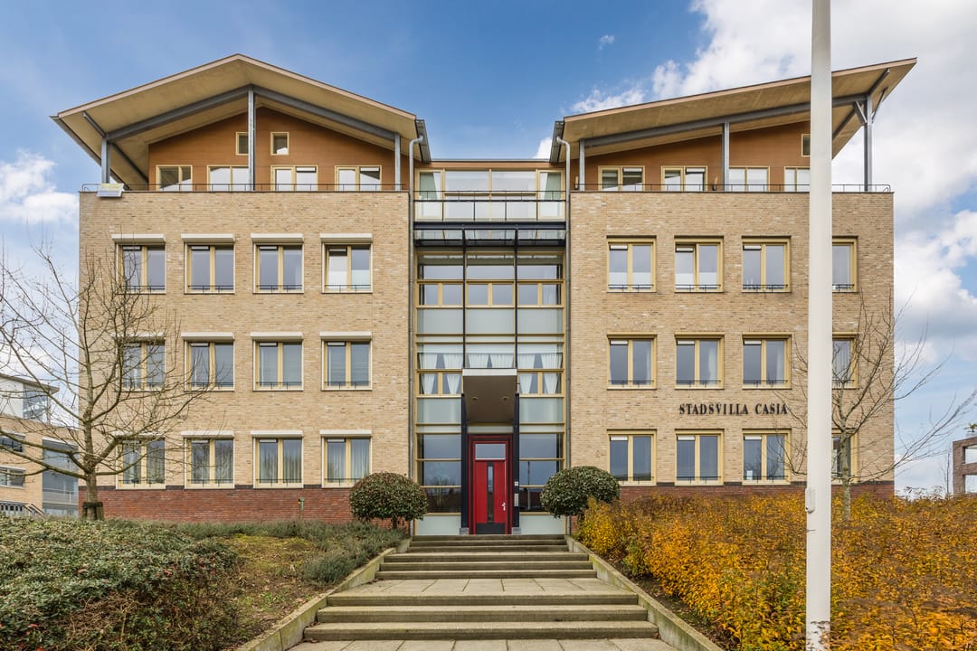 Foto 2 van Lavendel 489