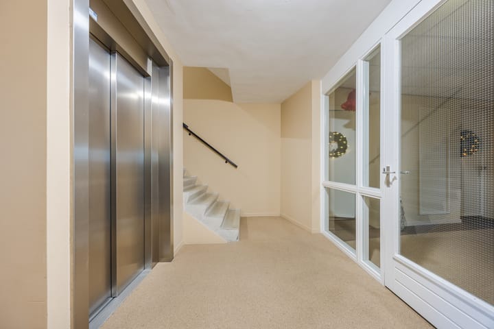 Foto 5 van Lavendel 489