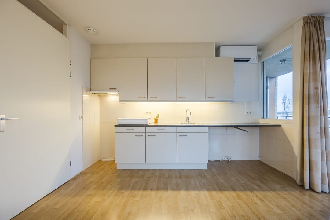 Foto 7 van Lavendel 489