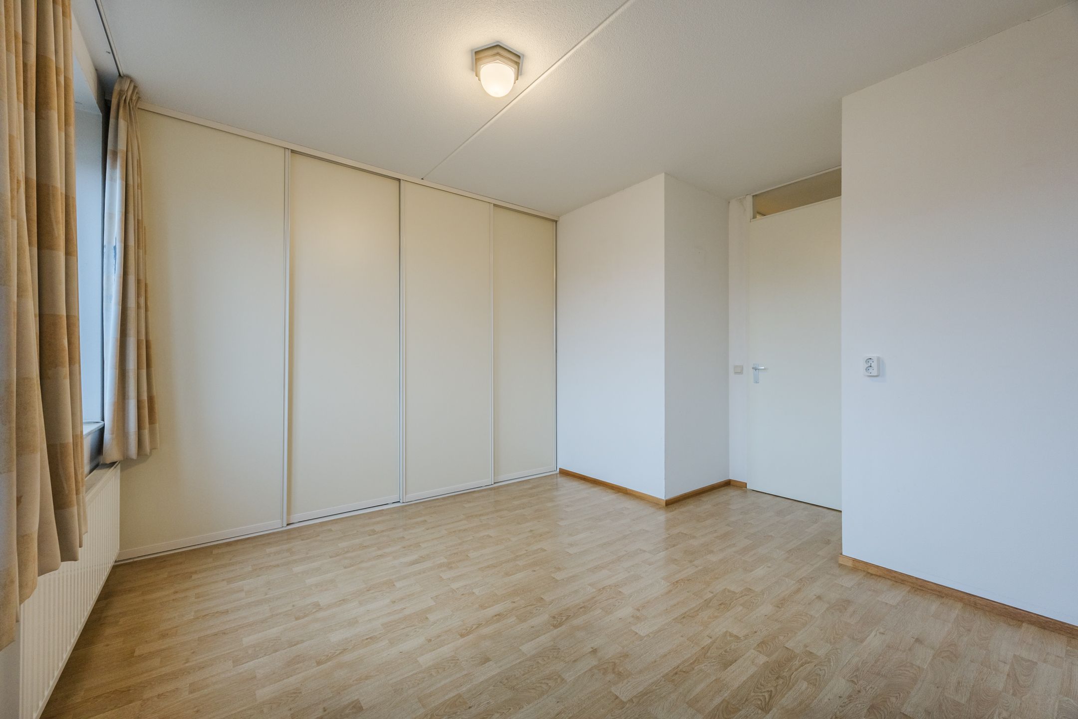 Foto 9 van Lavendel 489