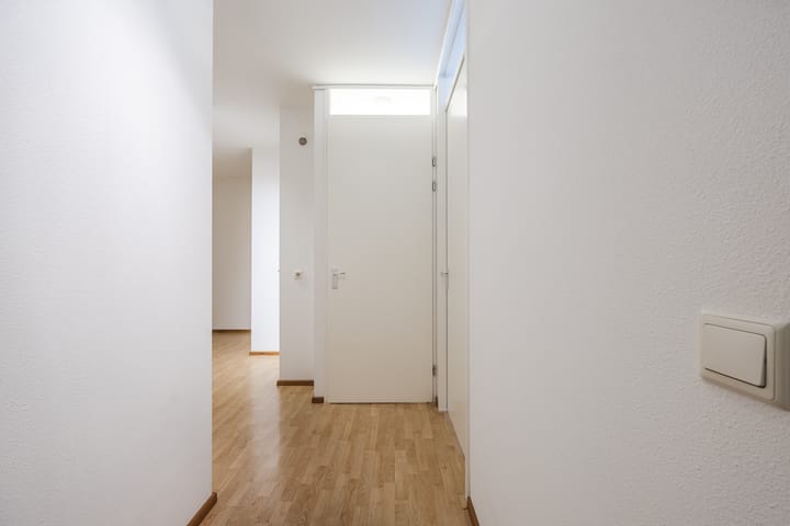 Foto 11 van Lavendel 489