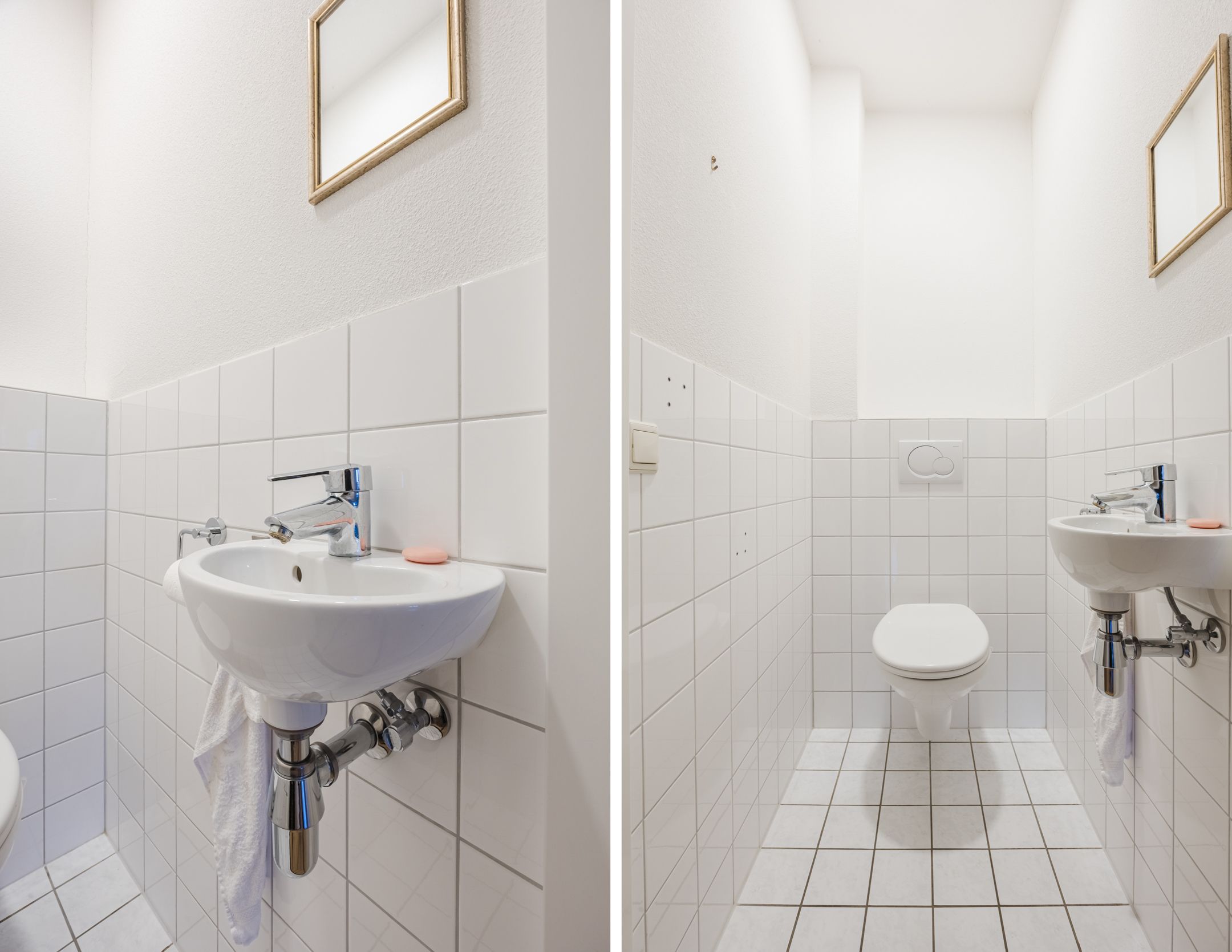 Foto 15 van Lavendel 489