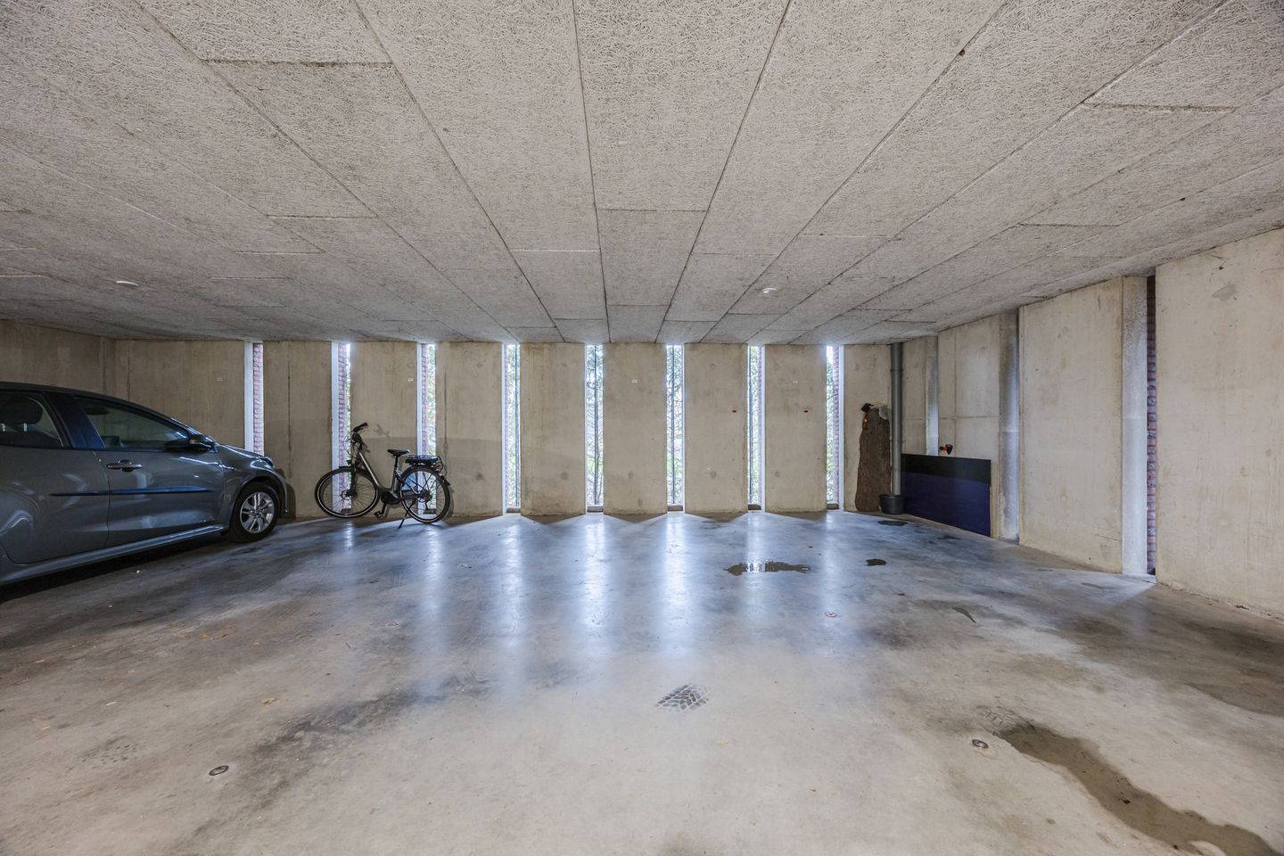 Foto 19 van Lavendel 489