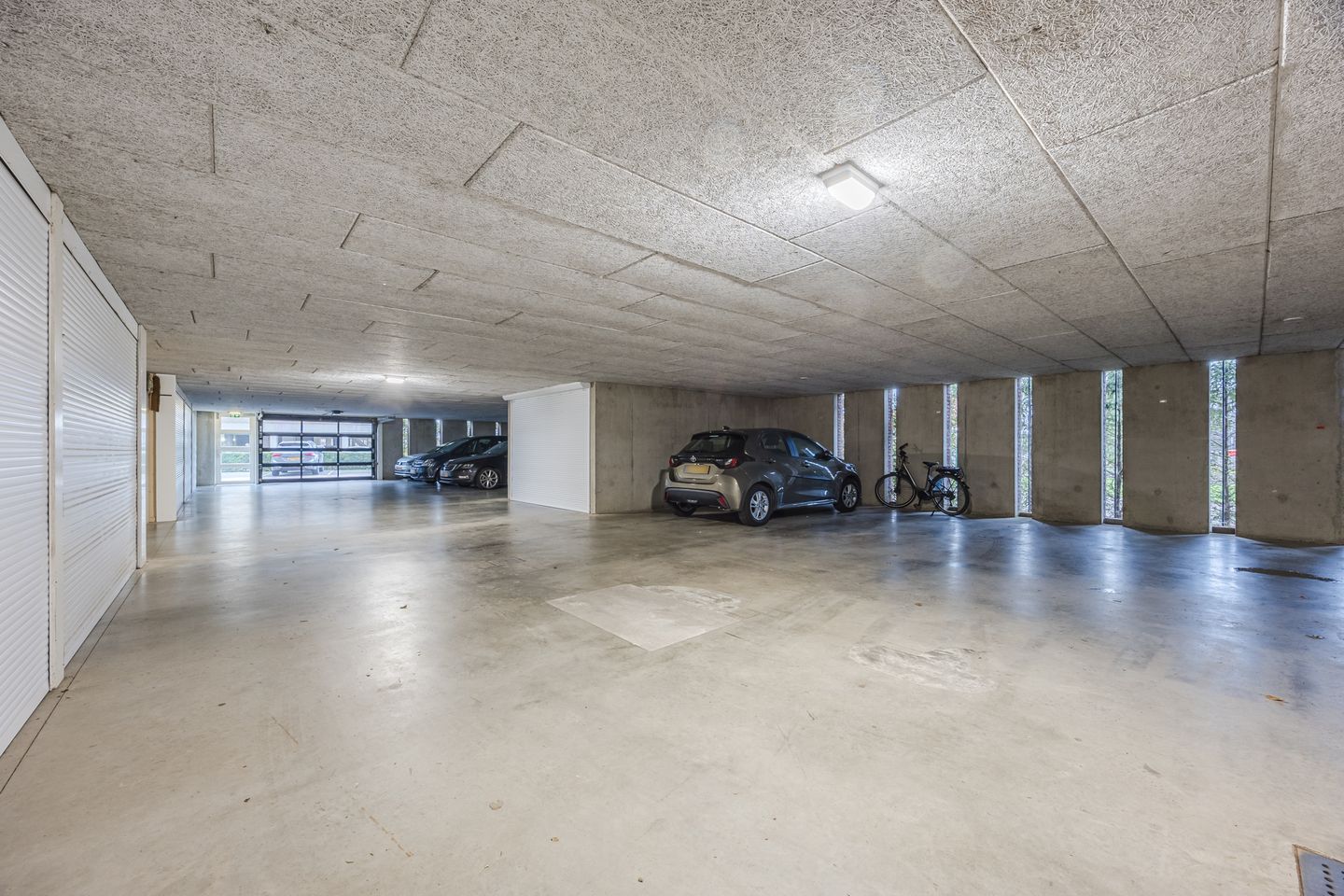 Foto 20 van Lavendel 489