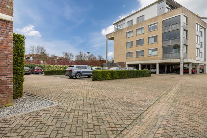 Foto 21 van Lavendel 489