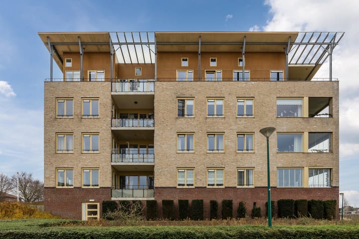 Foto 23 van Lavendel 489