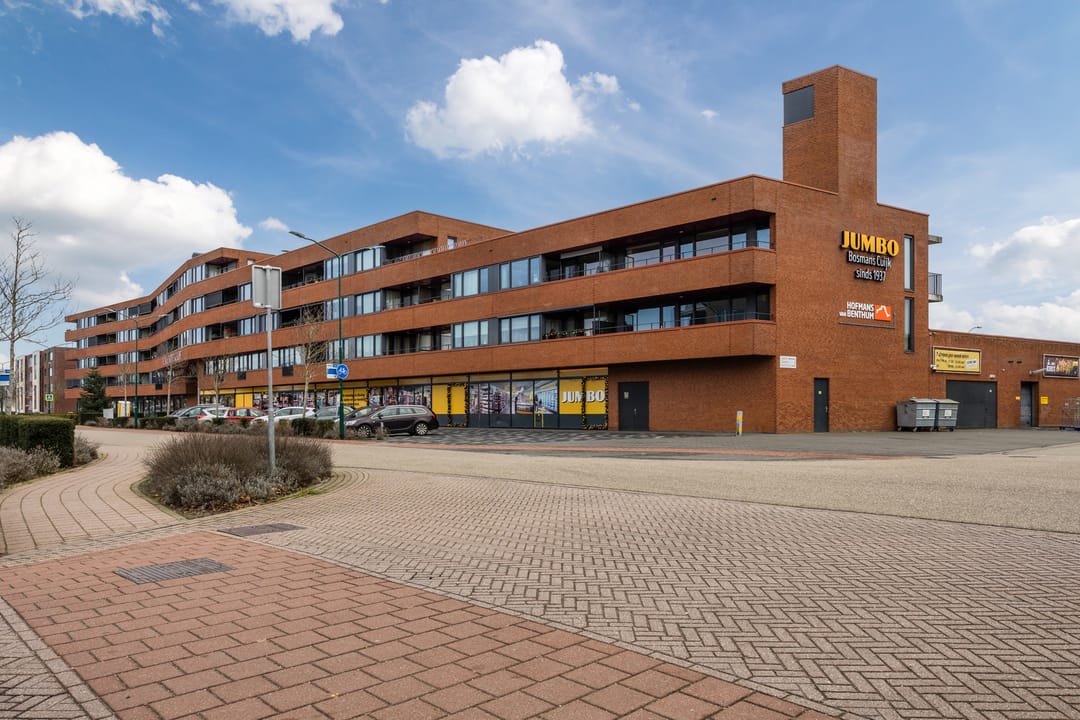 Foto 26 van Lavendel 489