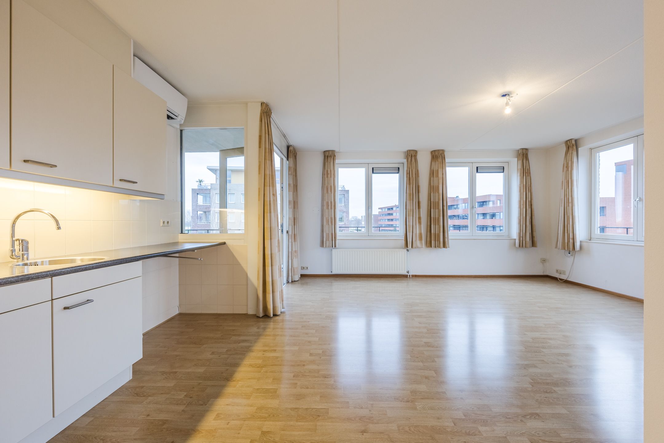 Foto 3 van Lavendel 489