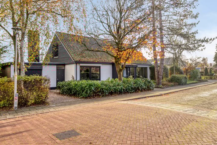 Foto 56 van Van der Duyn van Maasdamlaan 10