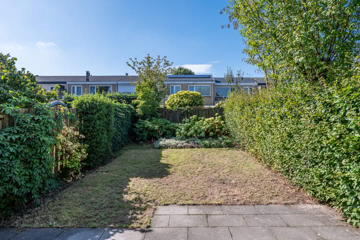 Foto 8 van Lauwere 308