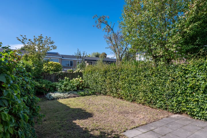 Foto 9 van Lauwere 308