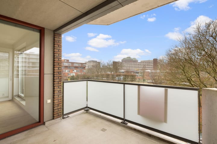 Foto 21 van Theodoor van Hoytemastraat 58