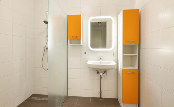 Foto 12 van Theodoor van Hoytemastraat 58