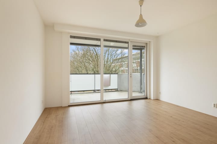 Foto 18 van Theodoor van Hoytemastraat 58