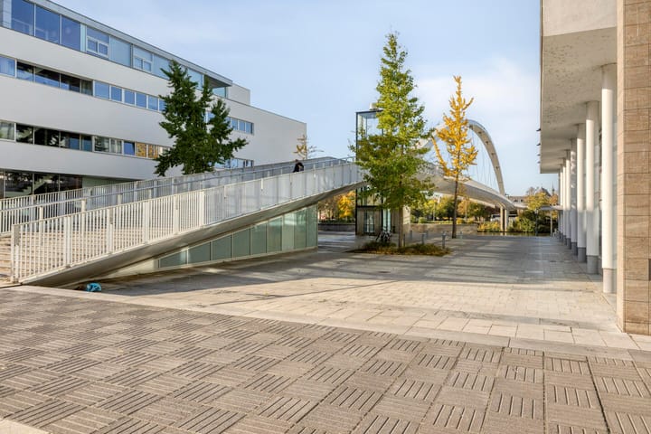 Photo 44 of Sphinxlunet 52-A