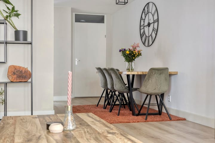 Photo 10 of Sphinxlunet 52-A