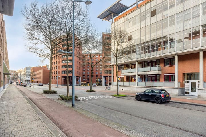 Photo 41 of Sphinxlunet 52-A