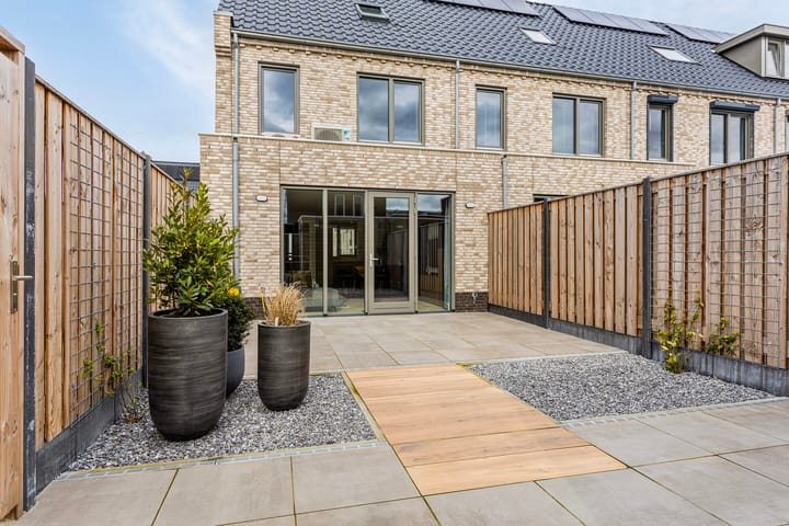 Photo 4 of Tanzaniet 19