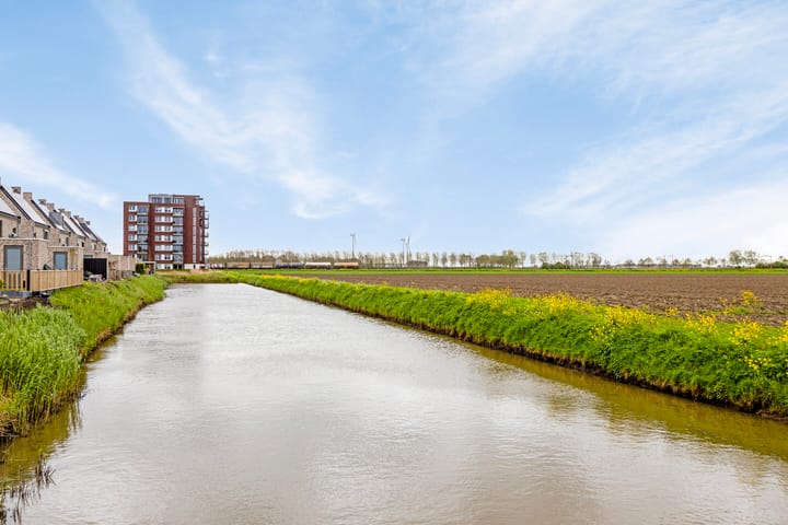 Photo 6 of Tanzaniet 19