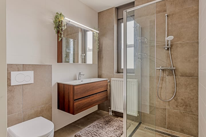 Photo 18 of Tanzaniet 19