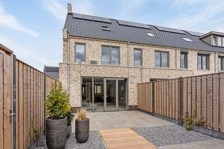 Photo 24 of Tanzaniet 19