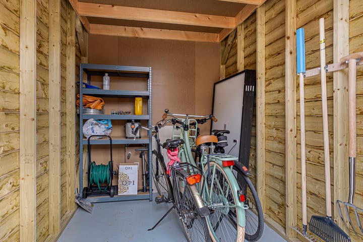 Photo 26 of Tanzaniet 19