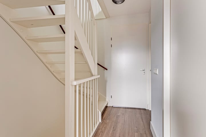 Photo 15 of Tanzaniet 19