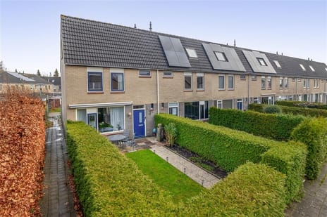 undefined main image