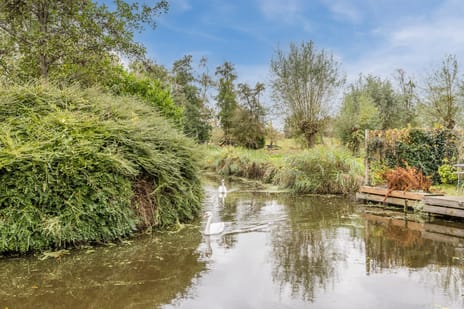 Roerdompstraat 33 secondary image