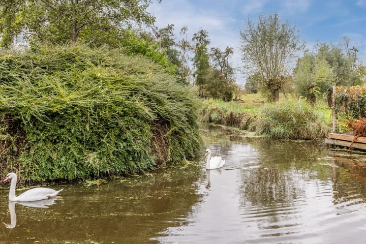 Foto 37 van Roerdompstraat 33