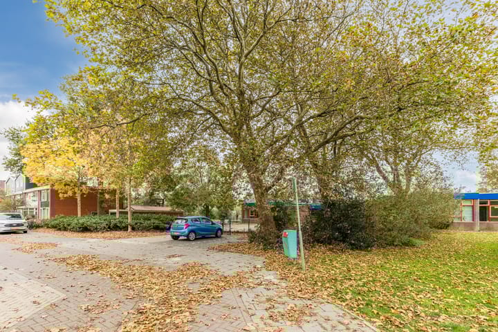 Foto 38 van Roerdompstraat 33