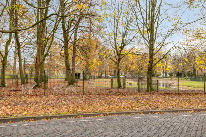 Photo 44 of Julianalaan 9