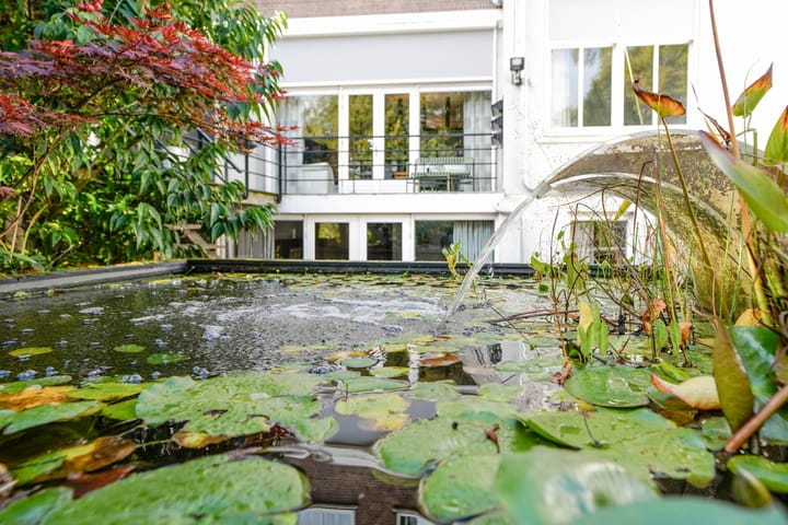 Foto 42 van Raamweg 14