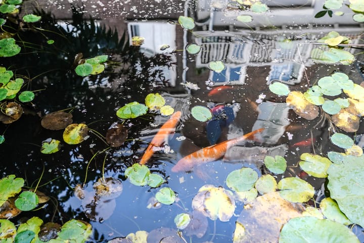 Foto 43 van Raamweg 14