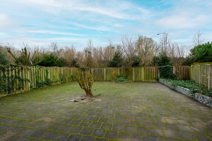 Photo 13 of Jan Paetsplein 28