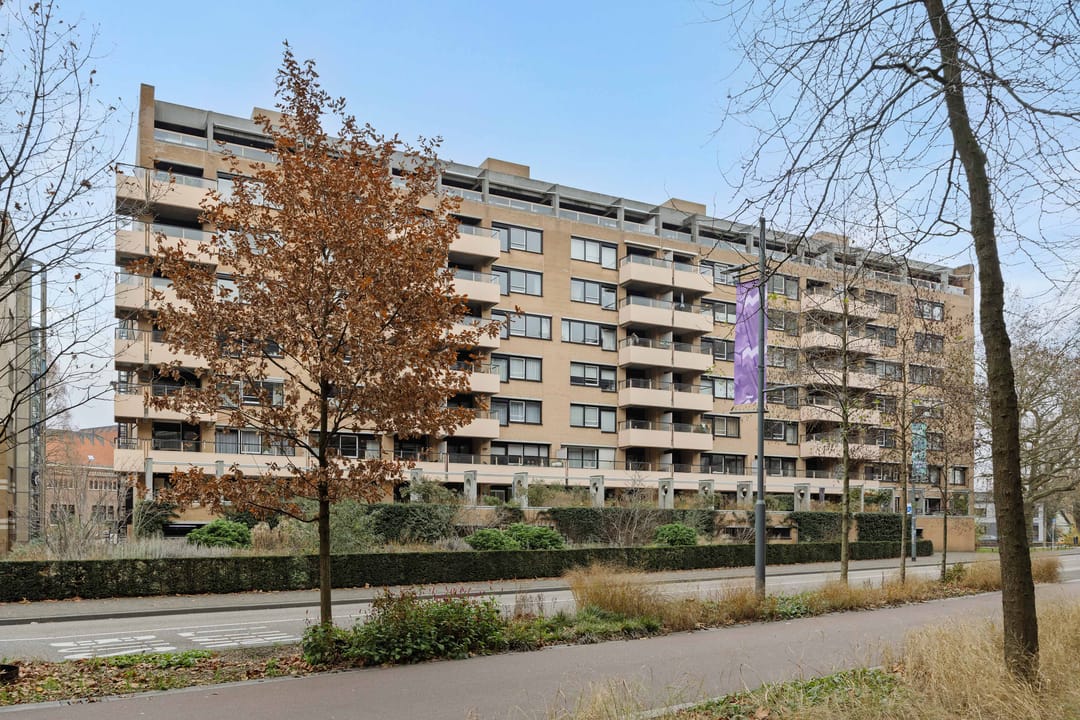 Foto 7 van Mignot en De Blockplein 66