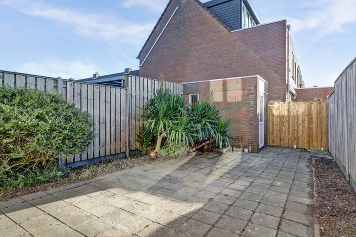 Foto 24 van Schaduwgras 77