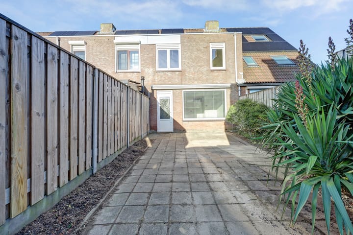 Foto 25 van Schaduwgras 77