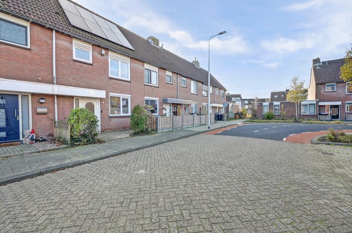 Foto 27 van Schaduwgras 77