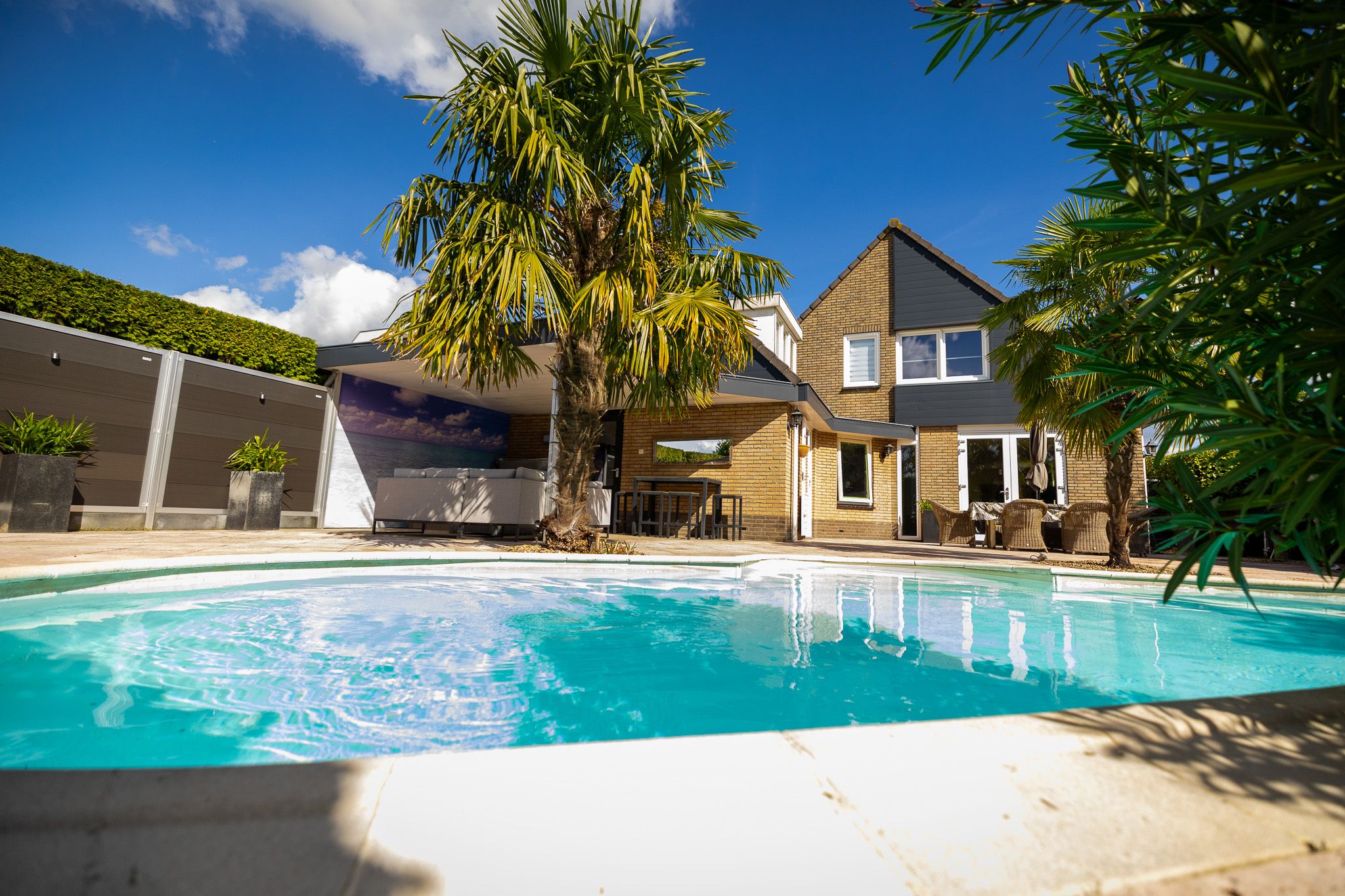 Buying a house in The Netherlands., Livius 8