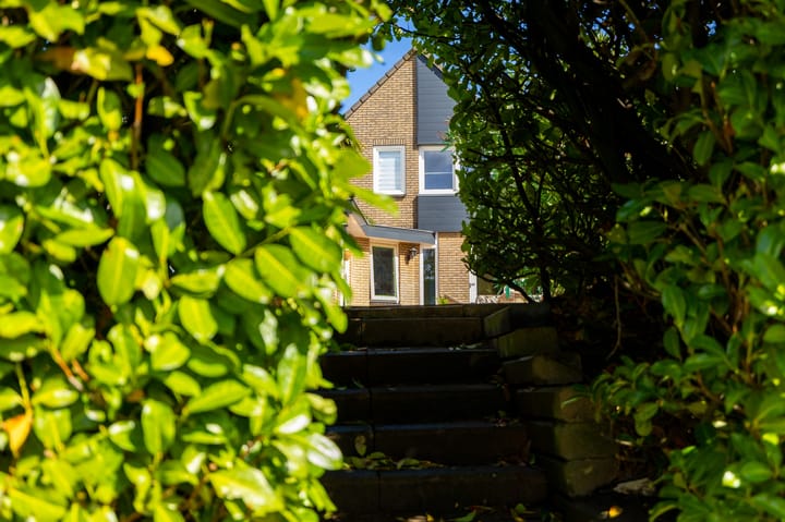 Foto 47 van Livius 8