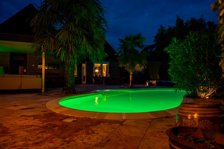 Foto 59 van Livius 8