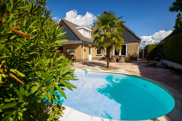 Foto 52 van Livius 8