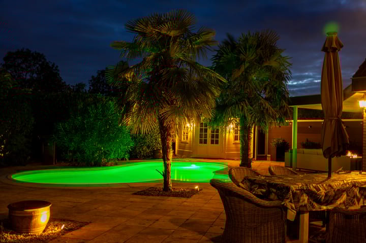 Foto 63 van Livius 8