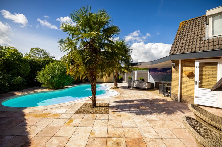 Foto 50 van Livius 8