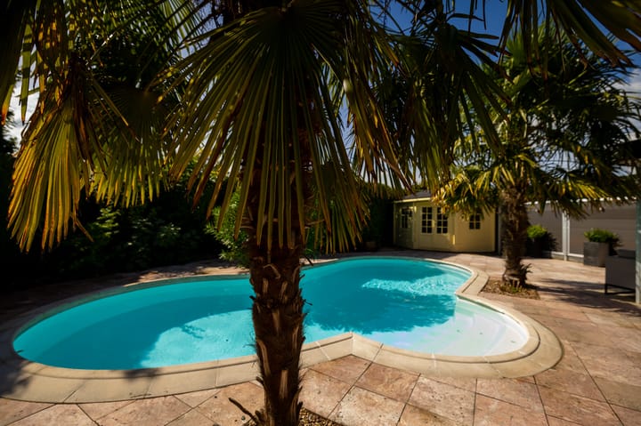 Foto 55 van Livius 8