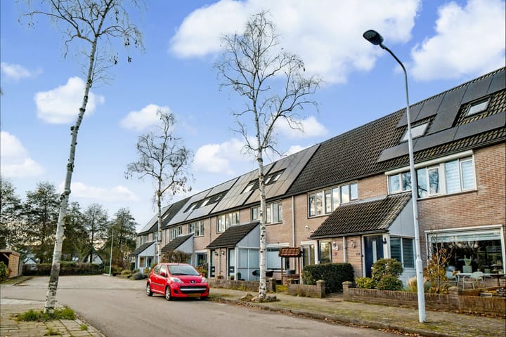 Foto 24 van Pienemanstraat 68