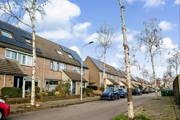 Foto 25 van Pienemanstraat 68