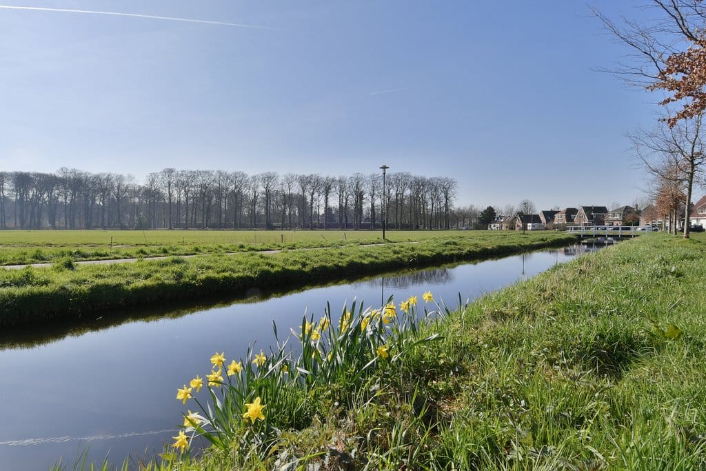 Foto 21 van Noordereinde 311